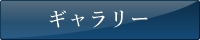 ギャラリー